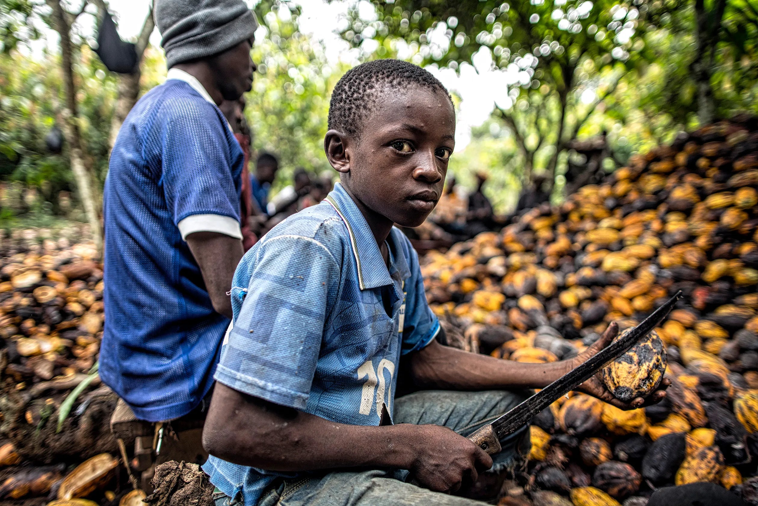 Is Chocolate Evil? Some thoughts on the Four Corners Report.