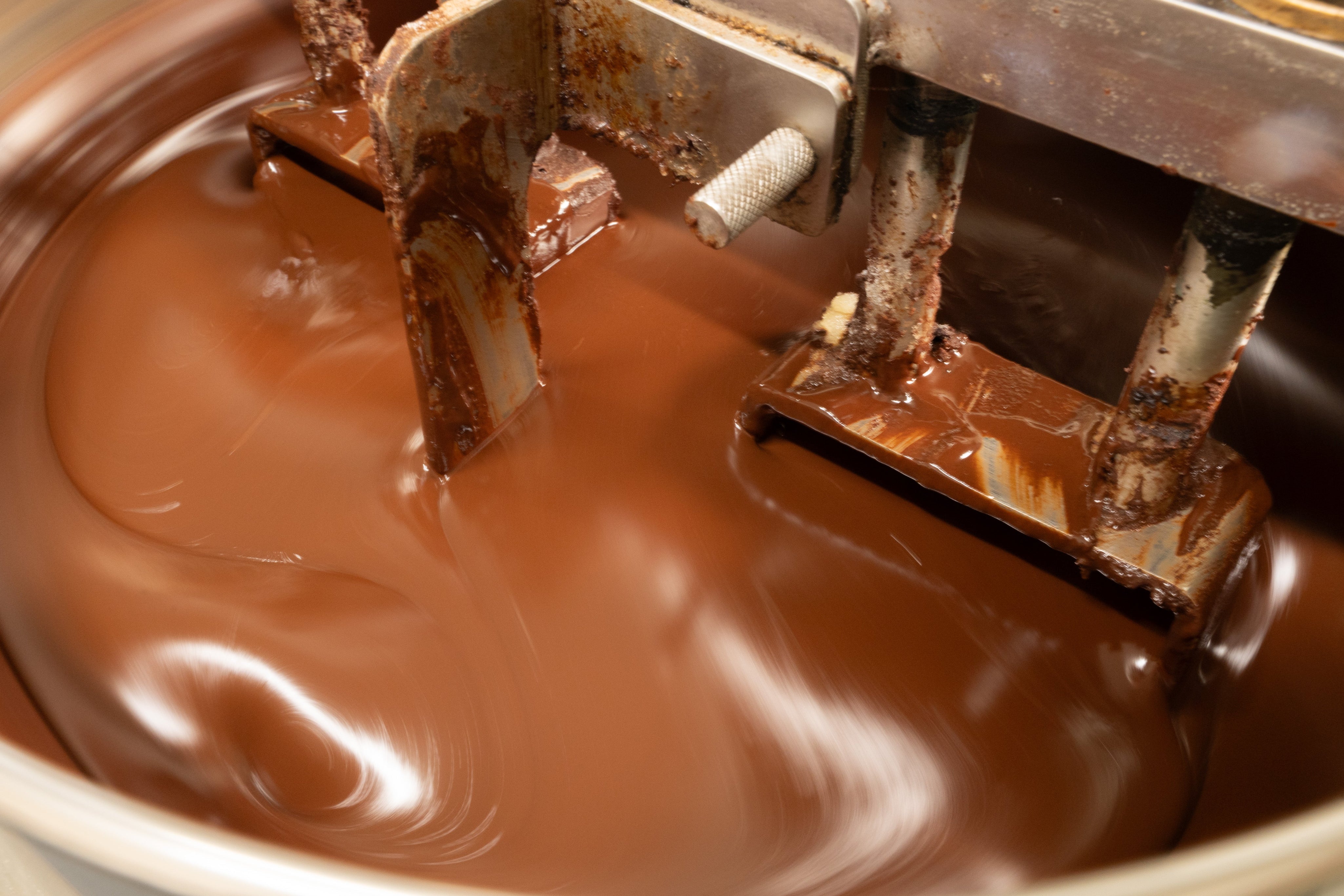 What are the polyphenol levels of Soma Cacao?