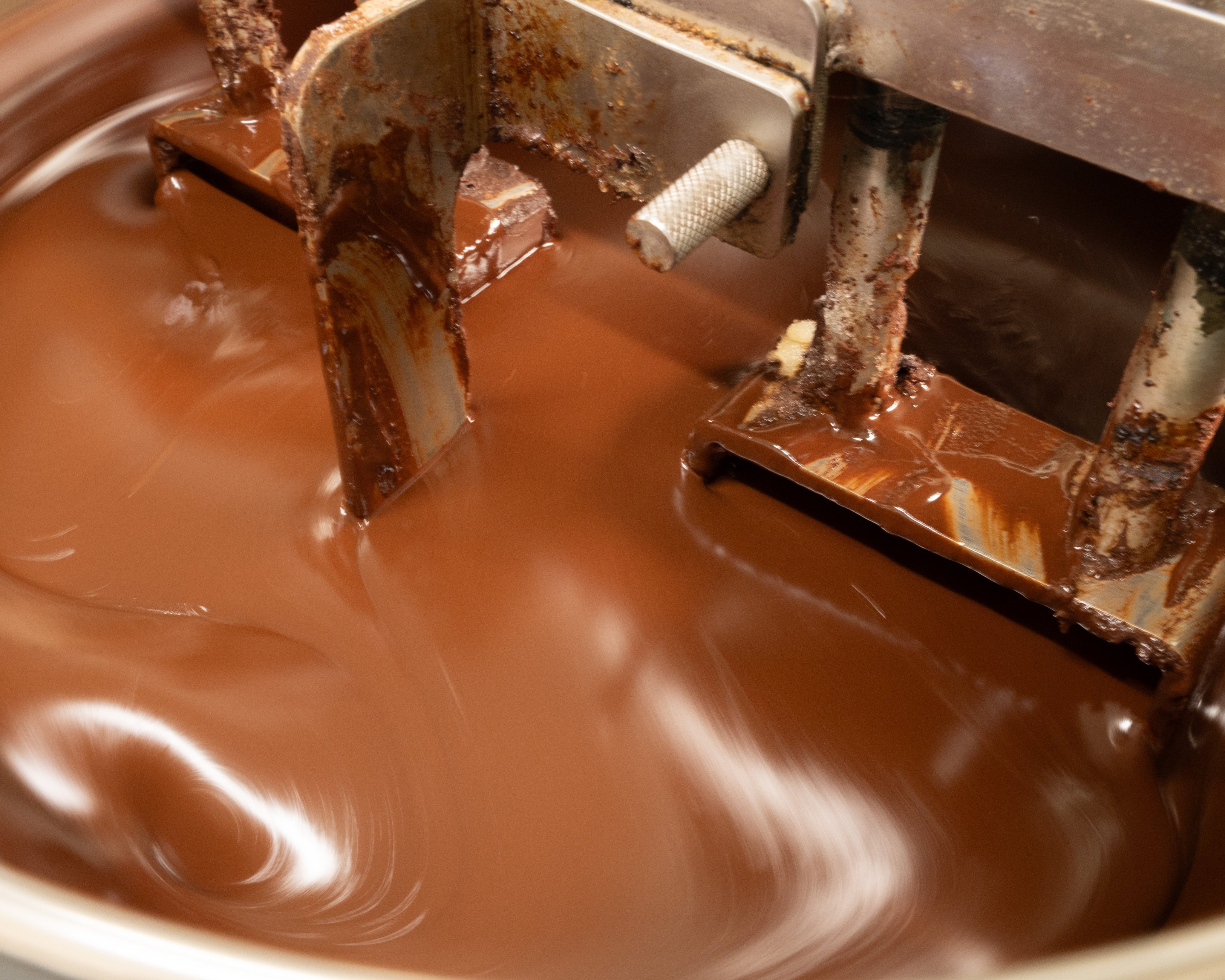 What are the polyphenol levels of Soma Cacao?