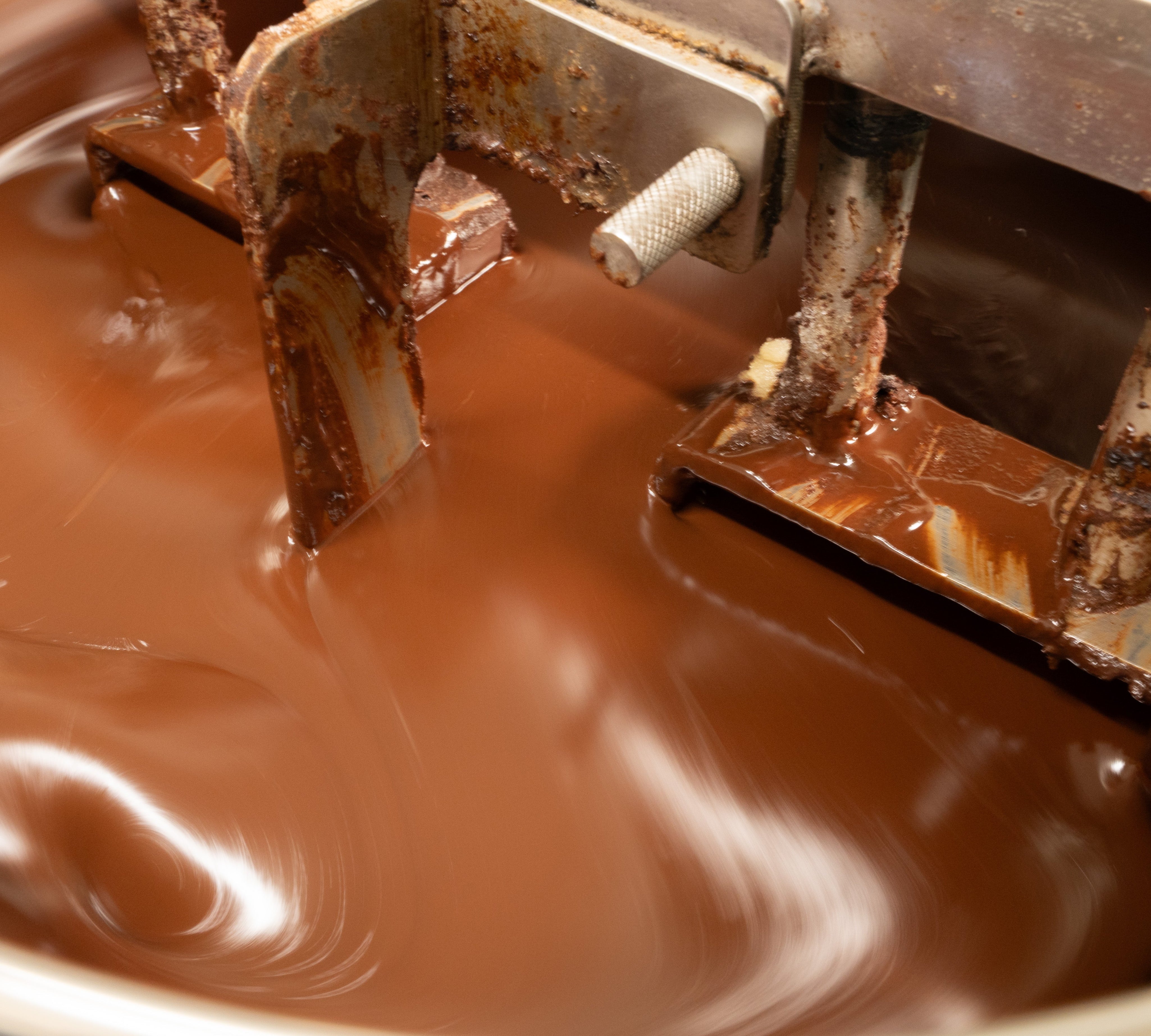 What are the polyphenol levels of Soma Cacao?