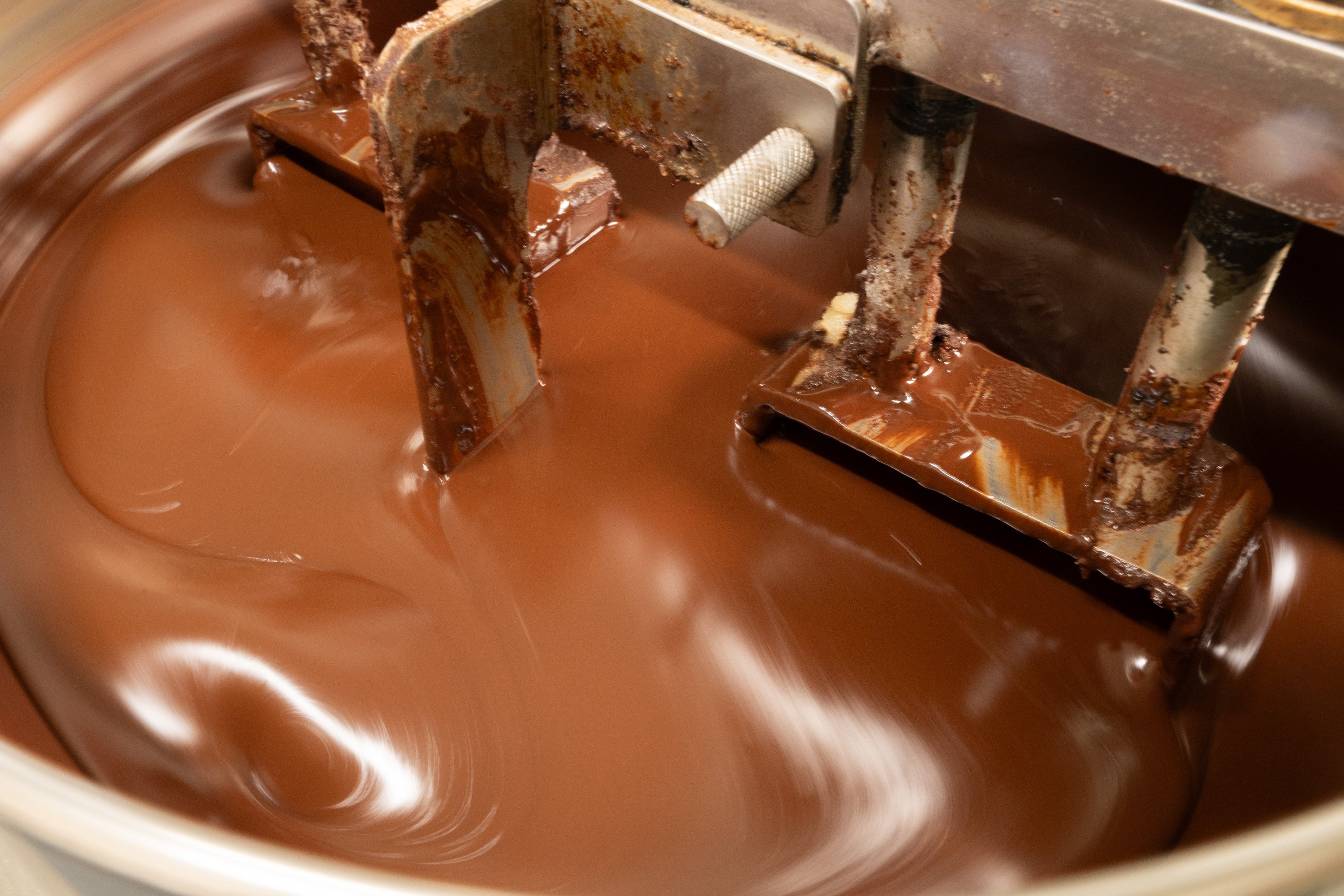 What are the polyphenol levels of Soma Cacao?