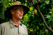 Daintree Ceremonial Cacao