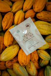 Daintree Ceremonial Cacao
