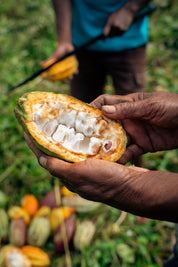 Karkar Island Ceremonial Cacao
