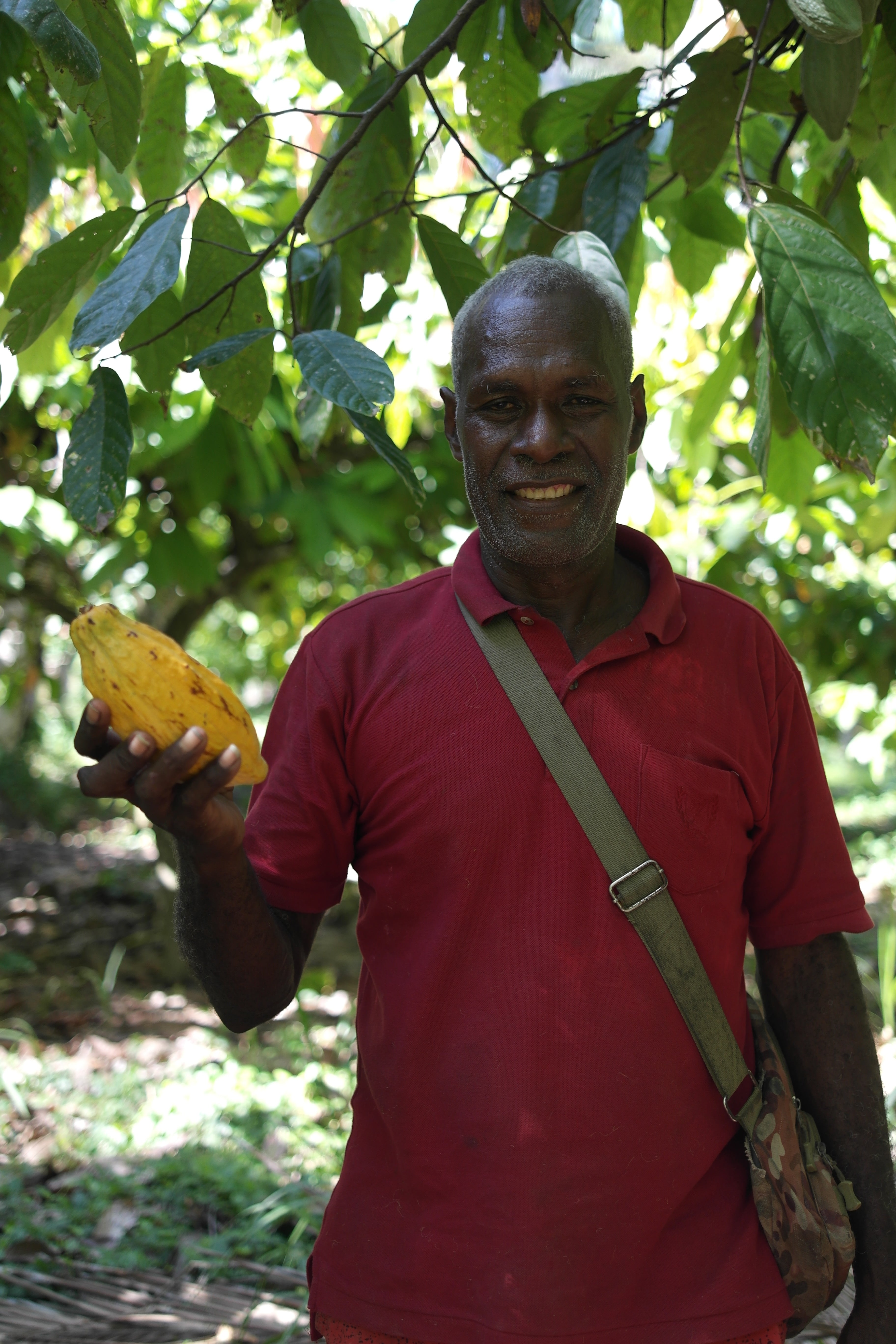 Solomon Islands Ceremonial Cacao