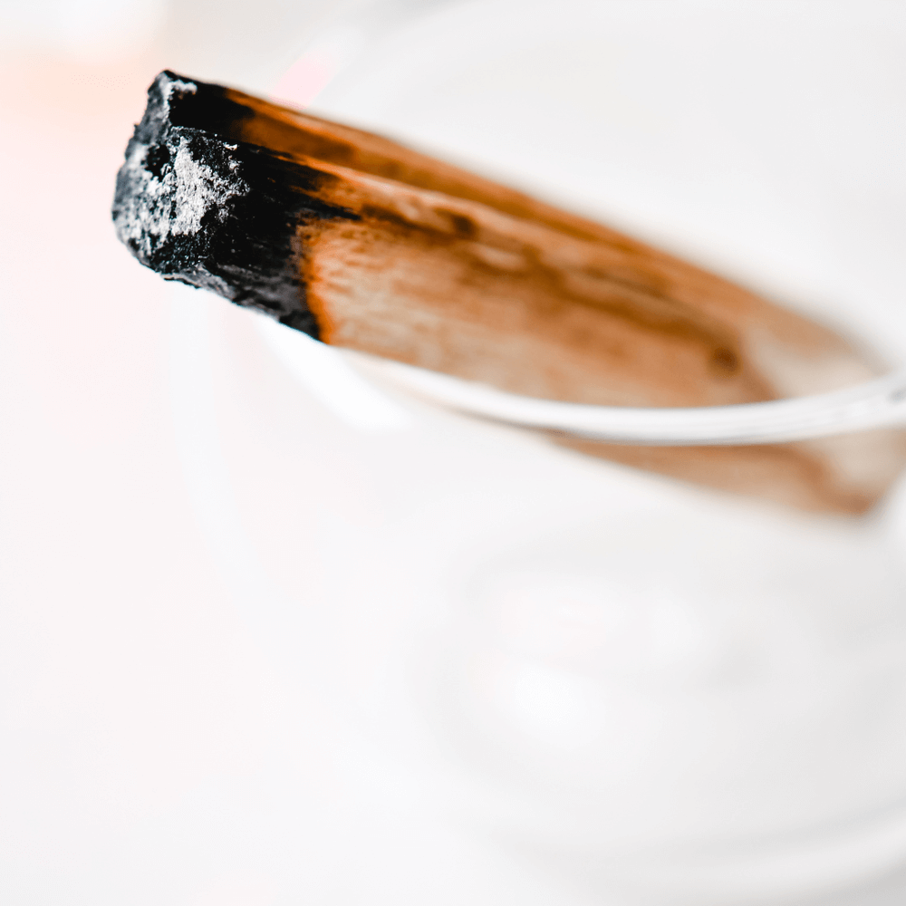 Close-up of wild-harvested Palo Santo wood, showcasing its earthy textures and rich heritage.